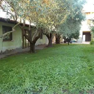 'suite' Gli Ulivi Dei Nonni Iun P3279 Ollastra